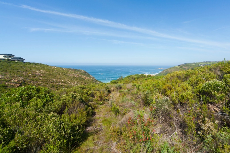  Bedroom Property for Sale in Pezula Private Estate Western Cape